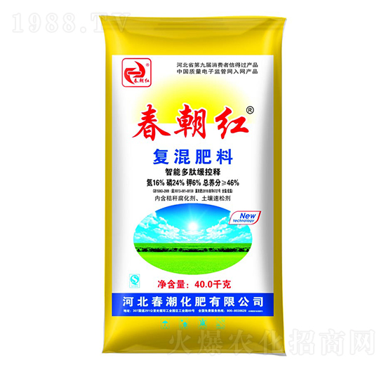 ��(f��)�����16-24-6-�����t