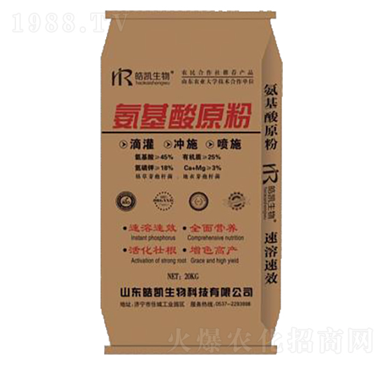 ������ԭ��-�P����