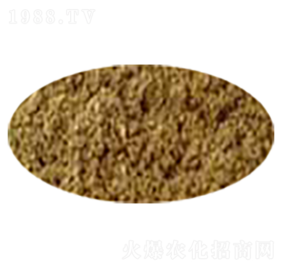 ����ѿ�ߗU����-�P����