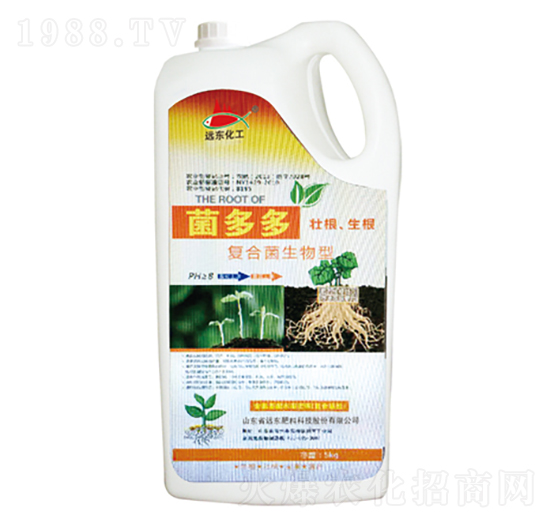 �ͺϾ�������-�����-�h�|����