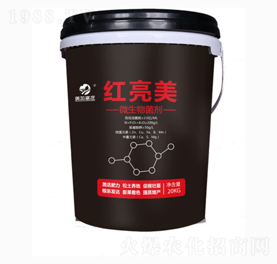 �t����΢�������-���Ӻ��f