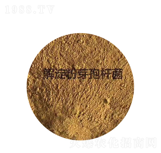 �����ѿ�ߗU��-�P����