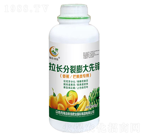 香蕉芒果類(lèi)專(zhuān)用拉長(zhǎng)分裂膨大先鋒-海法優(yōu)佳