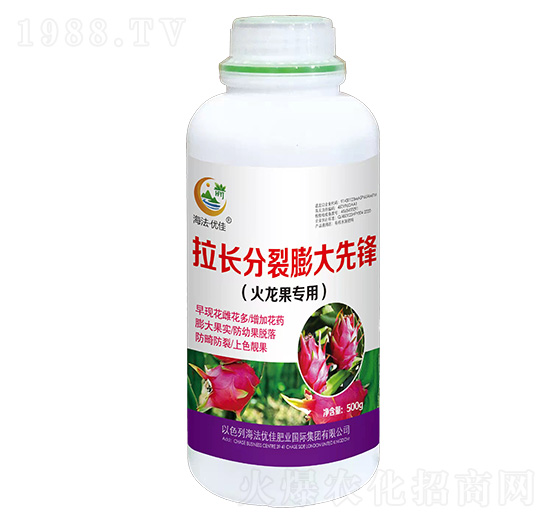 火龍果專用拉長分裂膨大先鋒-海法優(yōu)佳