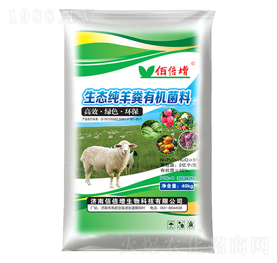 ���B(t��i)����S�ЙC(j��)��-�۱���