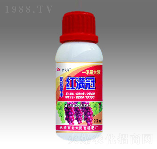 紅滿冠-金太陽肥業(yè)