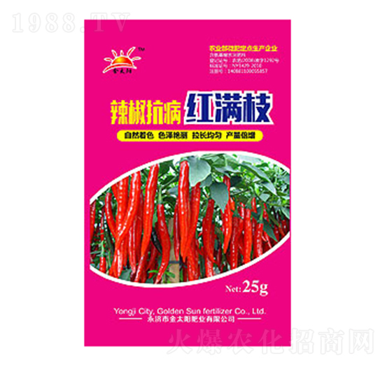 辣椒抗病紅滿(mǎn)枝-金太陽(yáng)肥業(yè)