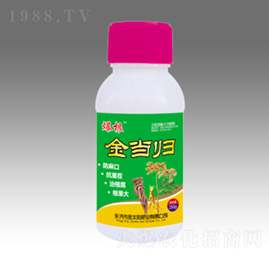 ��(d��ng)�w-��̫�(y��ng)�ʘI(y��)