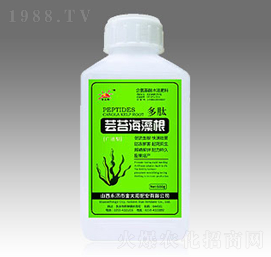 �|̦�����-��̫ꖷʘI(y��)