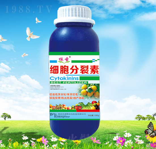 ����������-��Ұ�r��