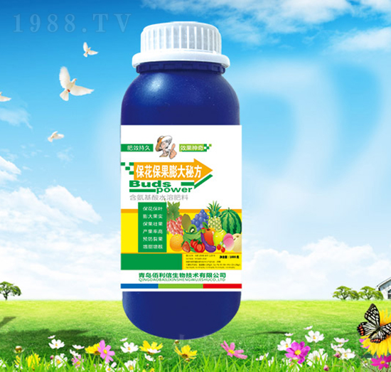 ������������ط�-��Ұ�r��