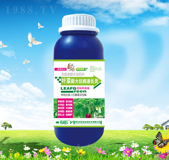 �~����󿹲����L�`-��Ұ�r��