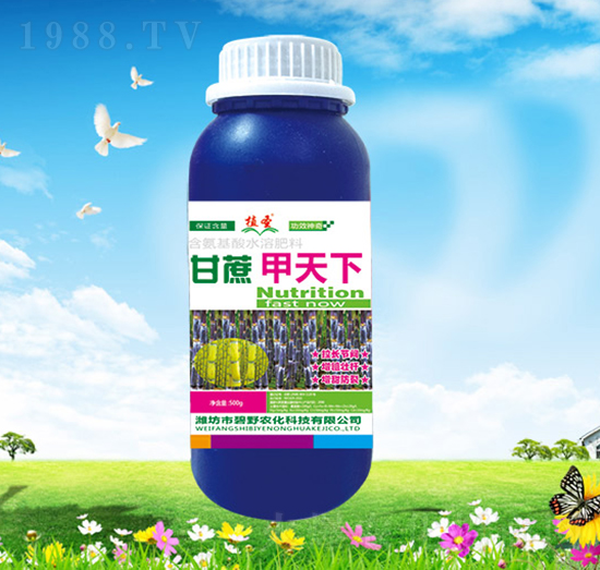 ���������-ֲʥ-��Ұ�r��