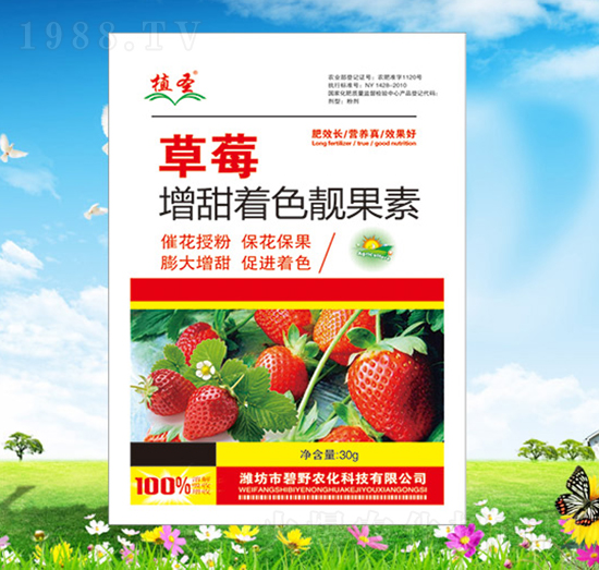 ��ݮ������ɫ�n����-ֲʥ-��Ұ�r��