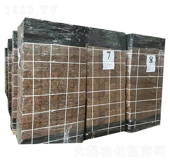 ӡ���M(j��n)��Ҭ��-�۱���