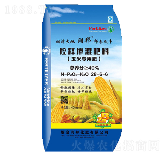 ���׌��ÿ�ጓ������28-6-6-�����