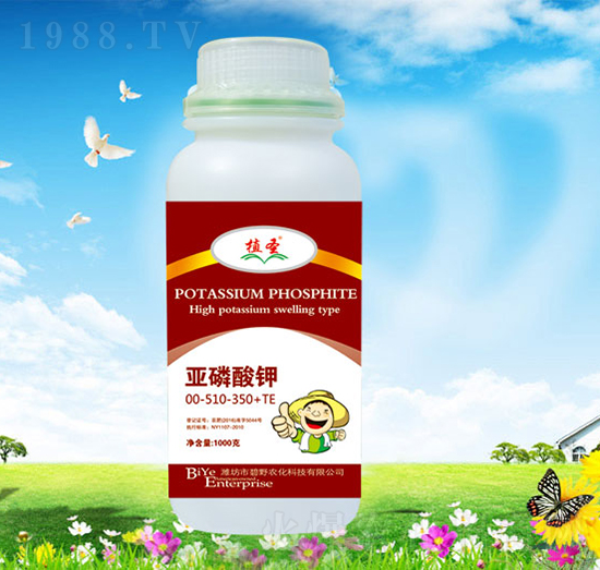 �������00-510-350+TE-ֲʥ-��Ұ�r��