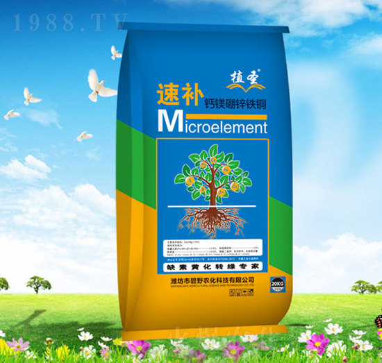 ���a�}�V���\�F�~-ֲʥ-��Ұ�r��