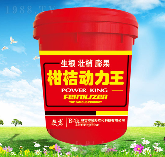 �̽ۄ�����-ֲʥ-��Ұ�r��