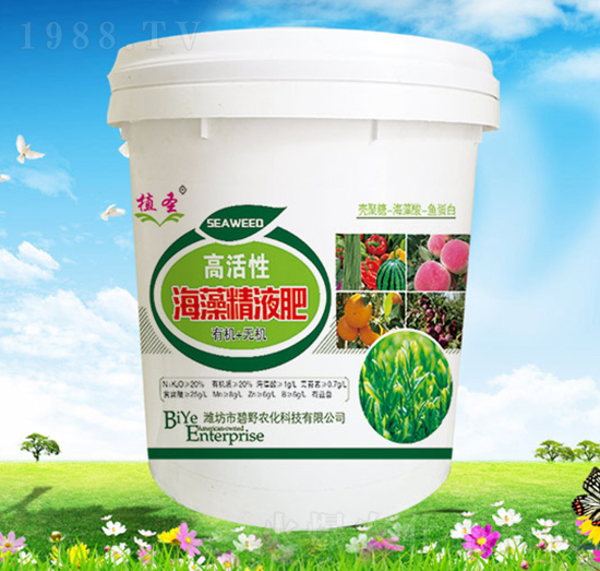 ���徫Һ��-ֲʥ-��Ұ�r��