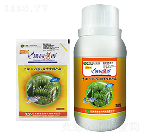 �㽶���L����-�M�@����-�¸�����