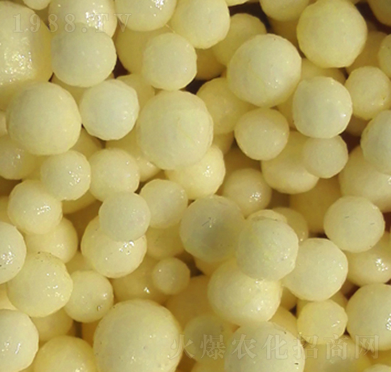 �۰�����Ĥ�����-�����S