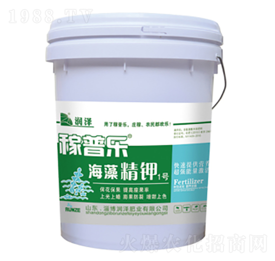 ���徫�1̖(h��o)-���՘�-��(r��n)�ɷʘI(y��)