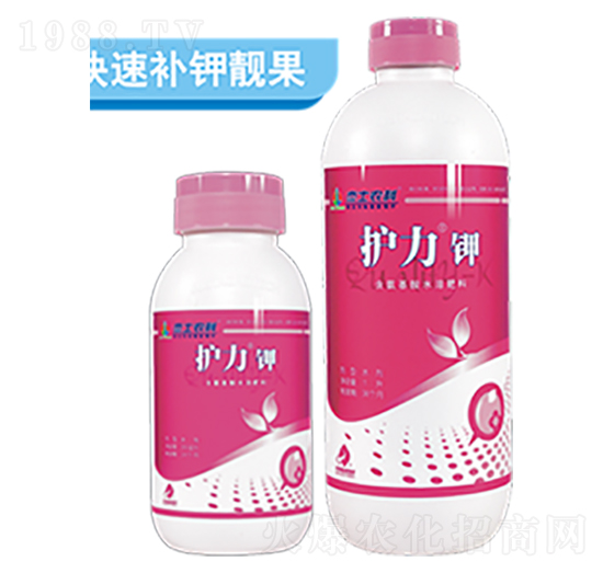 �o���-��ʿ�r�I(y��)