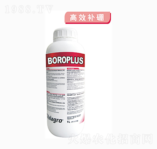 ����Һ�w��-����(l��)��-��ʿ�r(n��ng)�I(y��)