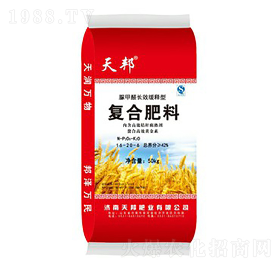 �ͺϷ���16-20-6-���-�f��