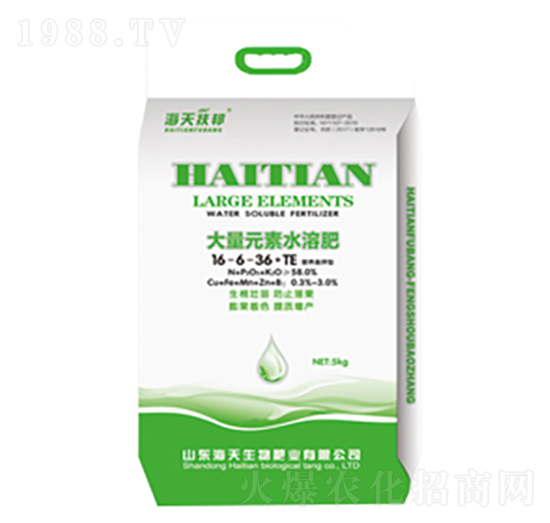 ����Ԫ��16-6-36+TE-��������