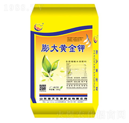 ����S���-��������