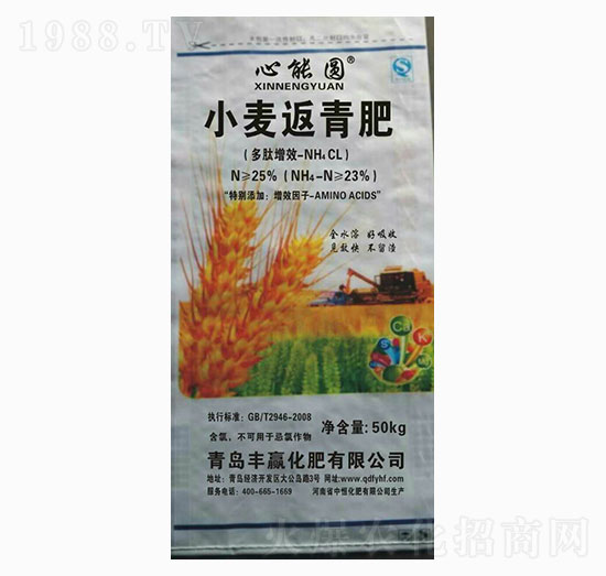 ���܈AС�������-�S�A����