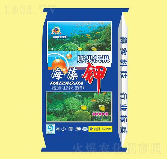 ����Ѹ������-�u�_�ʘI(y��)