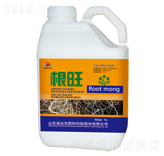 ����-�h�|����