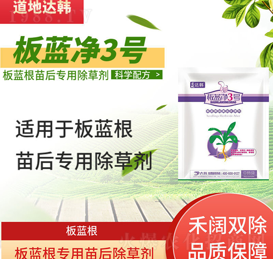 ���{�����݄�-���{�����-���{������-���n