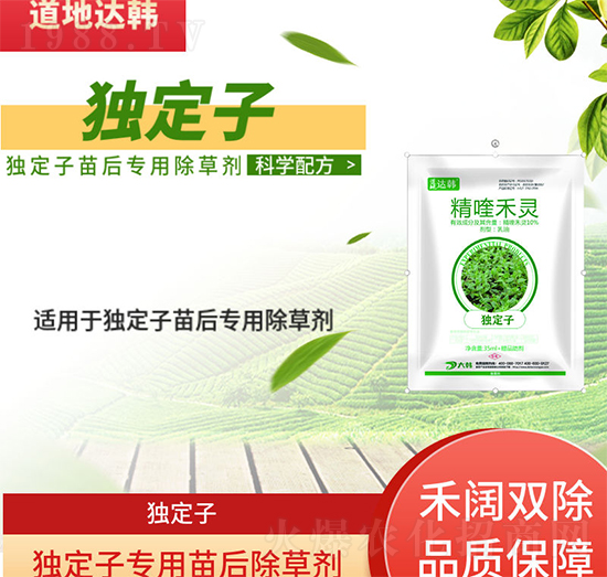 ��(d��)���ӳ��݄�-��(d��)�������-��(d��)���ӌ���-���n