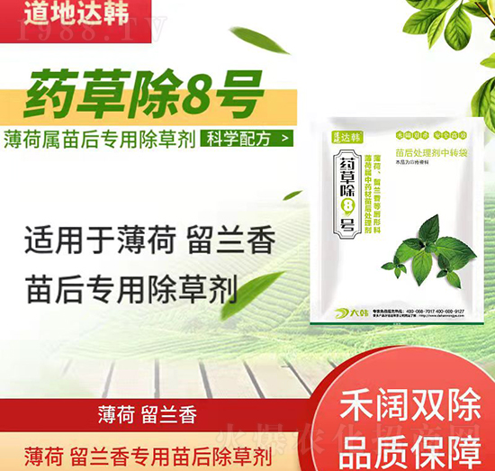 �������m����݄�-�������m�����-�������m�㌣(zhu��n)��-ˎ�ݳ�8̖(h��o)-���n