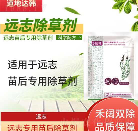 �h(yu��n)־�ݳ��݄�-�h(yu��n)־���-�h(yu��n)־��(zhu��n)��-���n