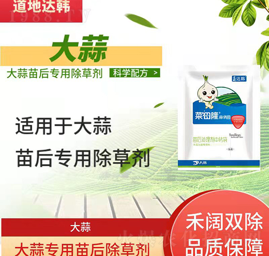 ������݄�-�������-���⌣(zhu��n)��-����¡��M(m��n)�@-���n