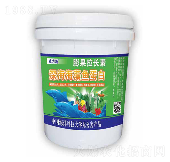 ������~����-������L��-����ʩ