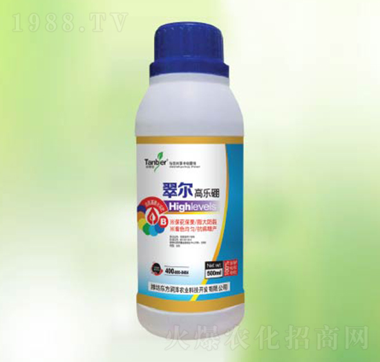 �䠖�ߘ���-�|������