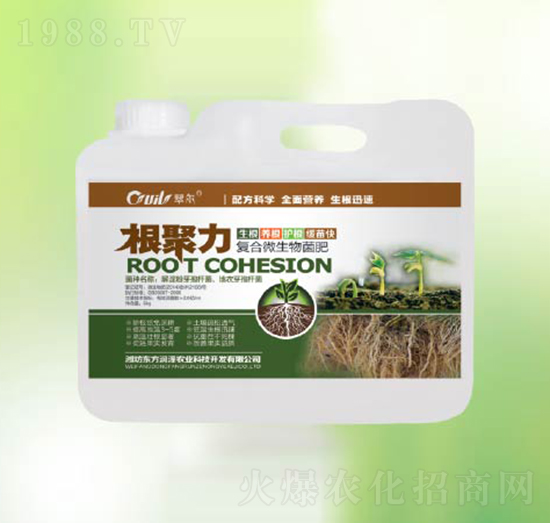 ��(f��)��΢�������-������-�|����(r��n)��