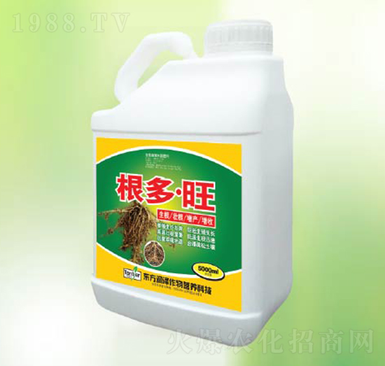 ������-�|����(r��n)��