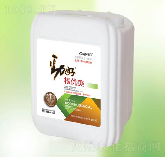 ����(y��u)��-�|����(r��n)��