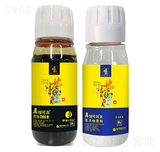 �漚(x��)�ɄxA+�漚(x��)�ɄxB-���ý�