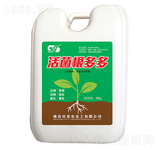 ��������-��?w��n)|����