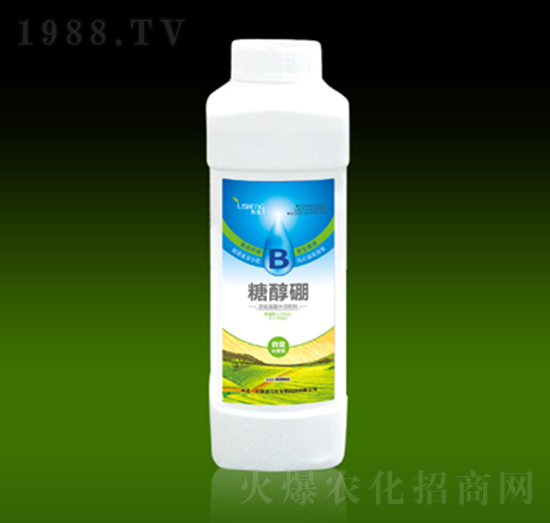 �Ǵ���-��������