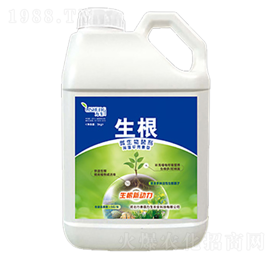 ����ך�����-������-��������