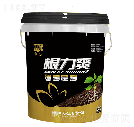 ����ˬ-����